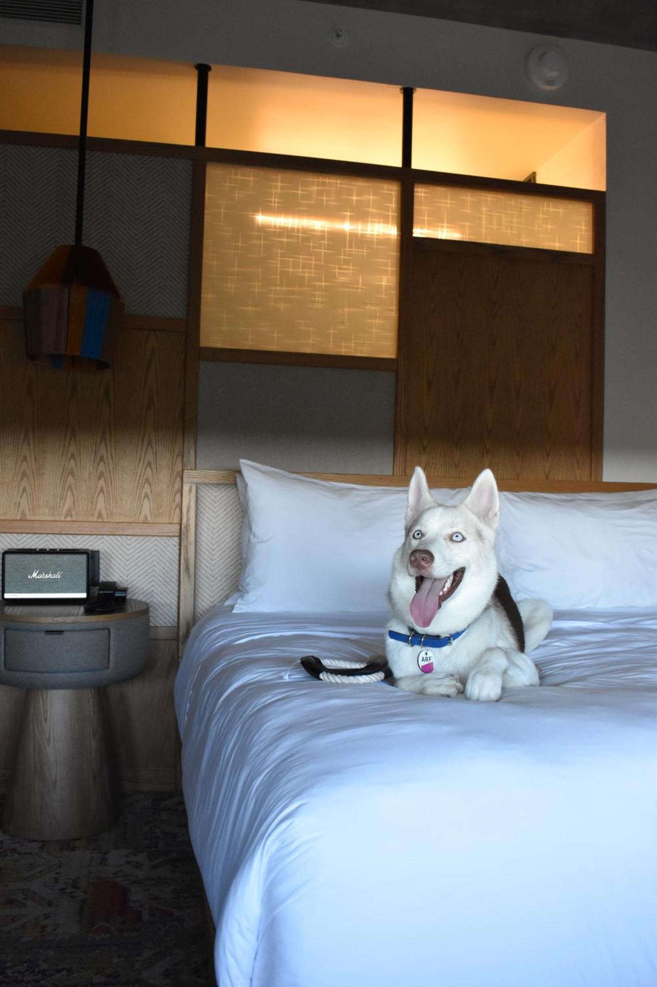 Aloft Tulum酒店 外观 照片